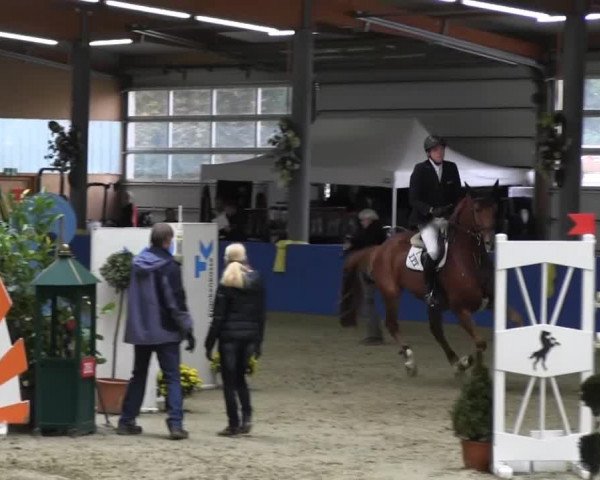 Reitturnier Isterberg 2013