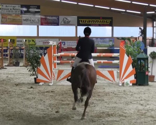 Reitturnier Isterberg 2013