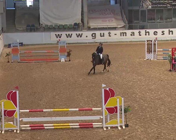 Reitturnier Kreuth 2025