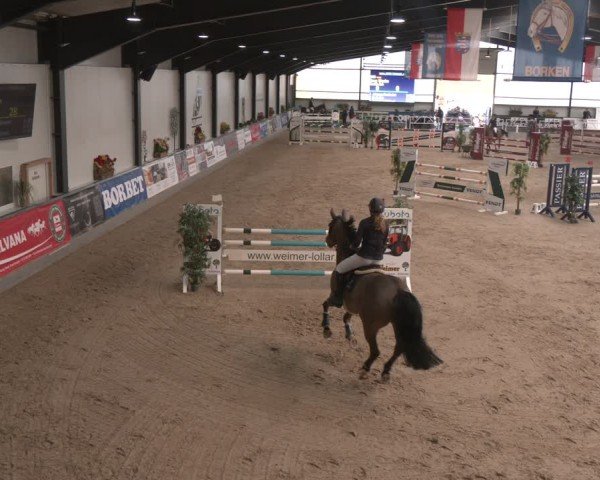 Reitturnier Borken (Hessen) 2025