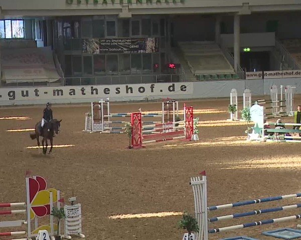Reitturnier Kreuth 2025