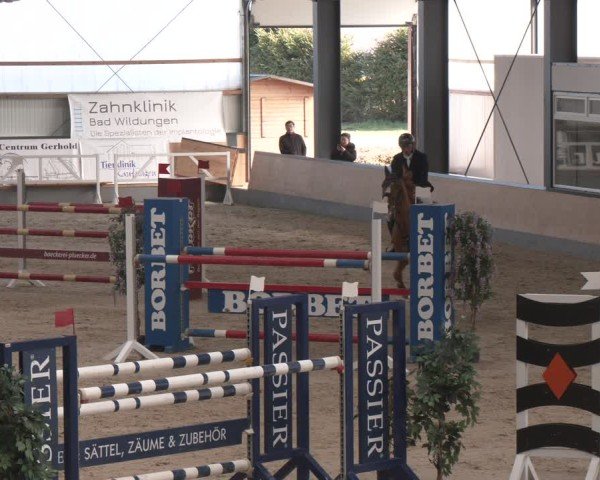 Reitturnier Borken (Hessen) 2025