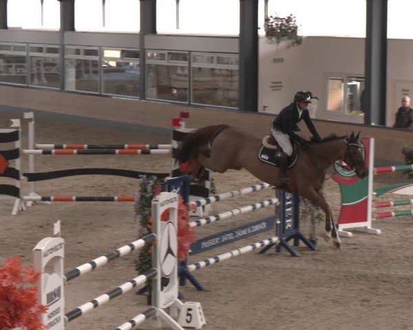 Reitturnier Borken (Hessen) 2025
