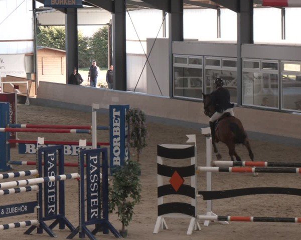Reitturnier Borken (Hessen) 2025