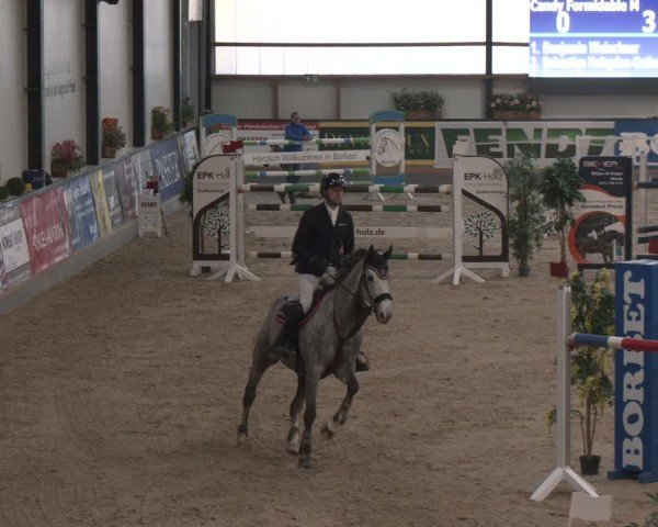 Reitturnier Borken (Hessen) 2025