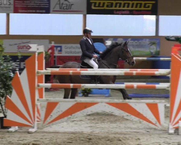 Reitturnier Isterberg 2013