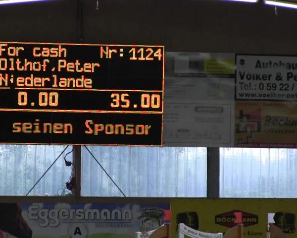6. Isterberger Euregio-Hallen Springturnier vom 10.-13.10.2013