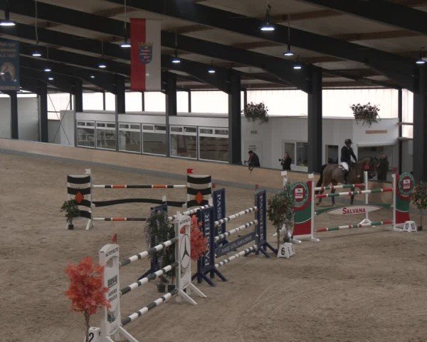 Reitturnier Borken (Hessen) 2025