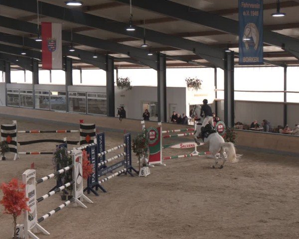 Reitturnier Borken (Hessen) 2025