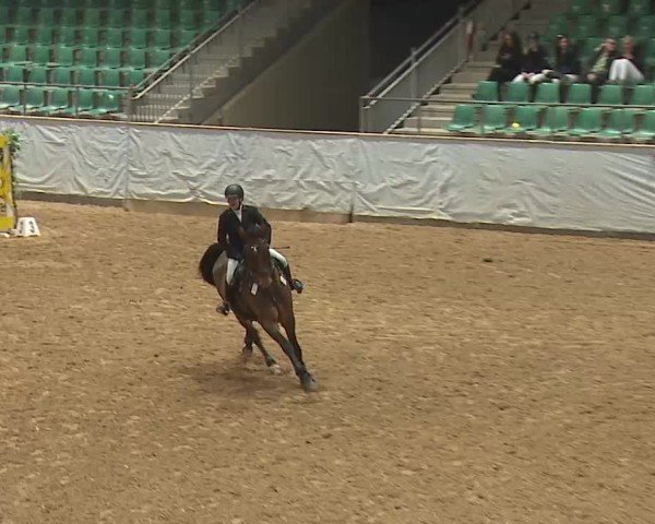 Reitturnier Kreuth 2025