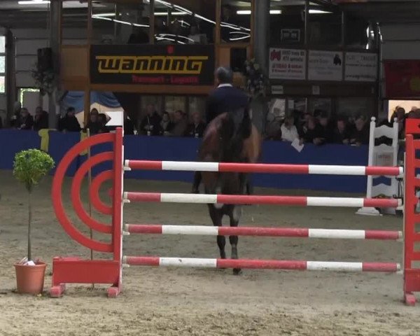 6. Isterberger Euregio-Hallen Springturnier vom 10.-13.10.2013