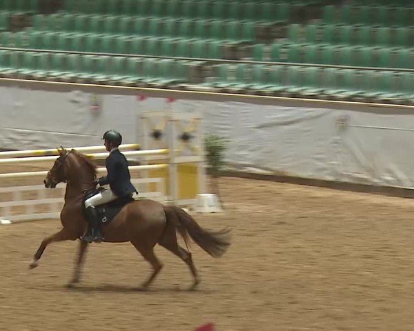 Reitturnier Kreuth 2025