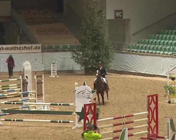 Reitturnier Kreuth 2025