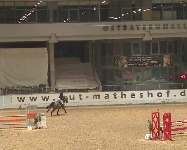Reitturnier Kreuth 2025