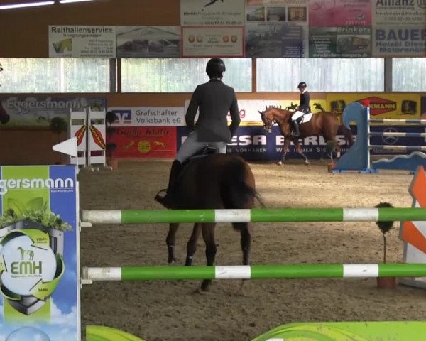 6. Isterberger Euregio-Hallen Springturnier vom 10.-13.10.2013