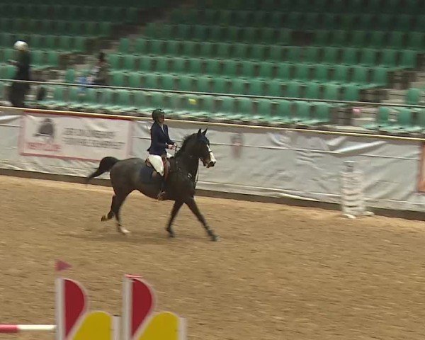 Reitturnier Kreuth 2025
