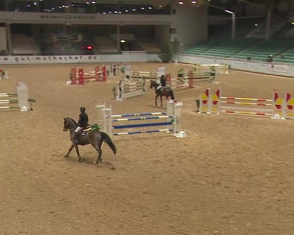 Reitturnier Kreuth 2025