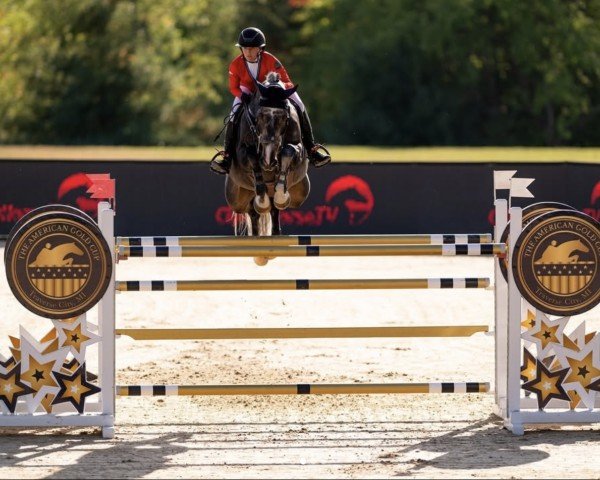 jumper Conrado 12 (Zangersheide riding horse, 2013, from VDL Cardento 933)