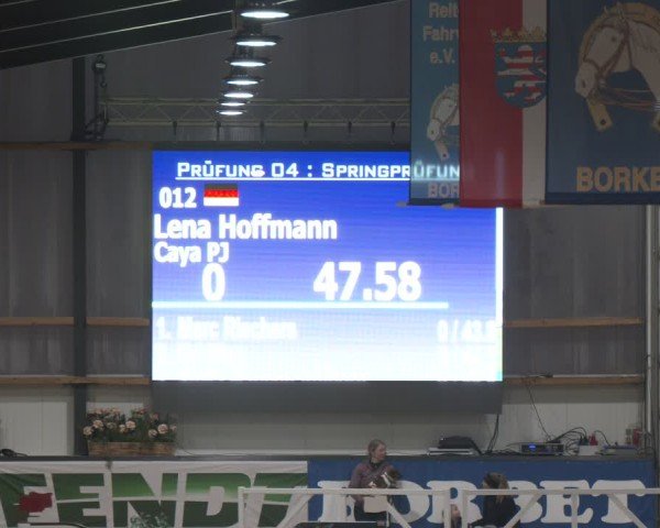 Reitturnier Borken (Hessen) 2025