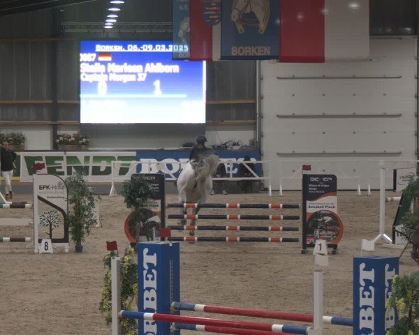 Reitturnier Borken (Hessen) 2025