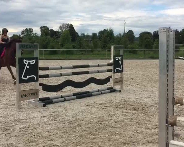 Video of Can Fly New York