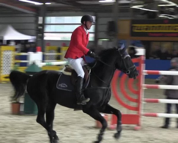6. Isterberger Euregio-Hallen Springturnier vom 10.-13.10.2013