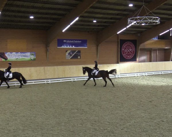 Reitturnier Paderborn 2021