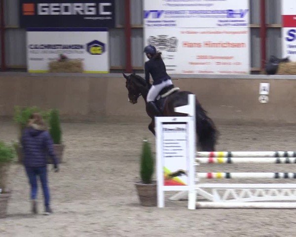 Reitturnier Behrendorf 2025