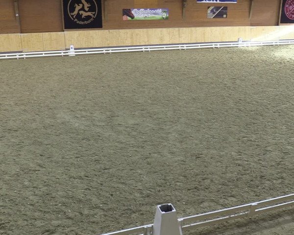 Reitturnier Paderborn 2021