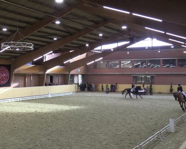 Reitturnier Paderborn 2021