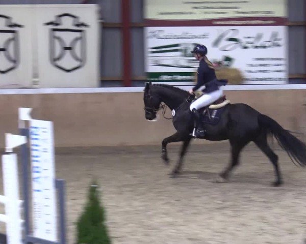 Reitturnier Behrendorf 2025