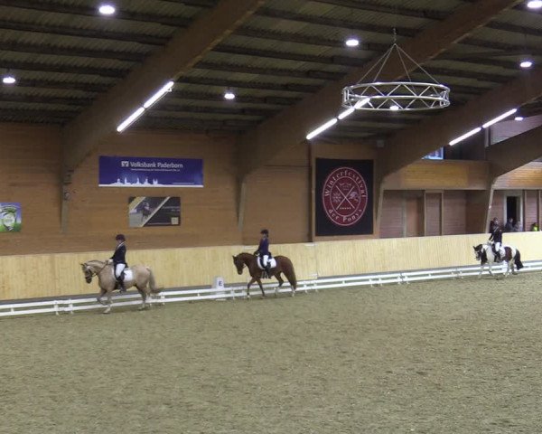Reitturnier Paderborn 2021