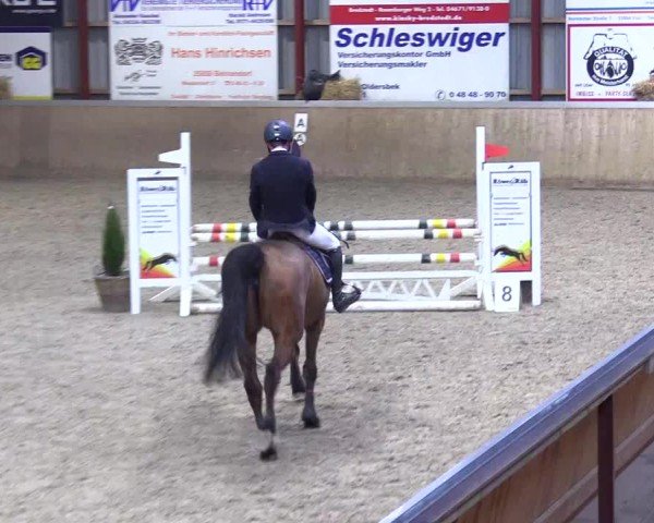 Reitturnier Behrendorf 2025