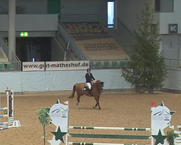 Reitturnier Kreuth 2025