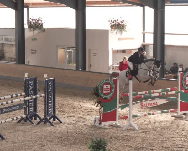 Reitturnier Borken (Hessen) 2025
