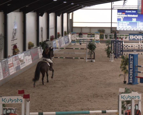Reitturnier Borken (Hessen) 2025