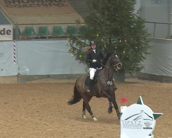 Reitturnier Kreuth 2025