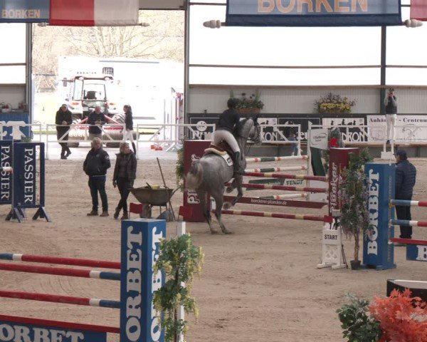 Reitturnier Borken (Hessen) 2025