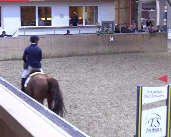 Reitturnier Behrendorf 2025