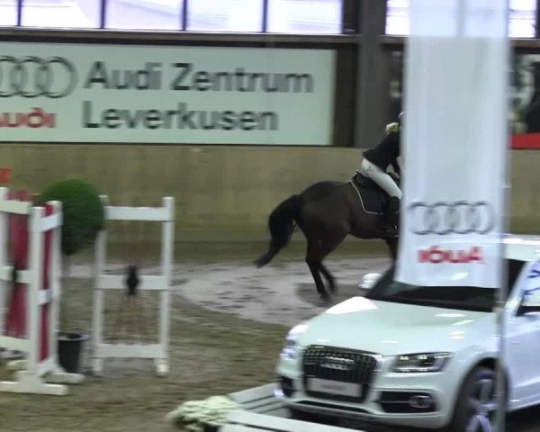 Köln-Leverkusen 2013