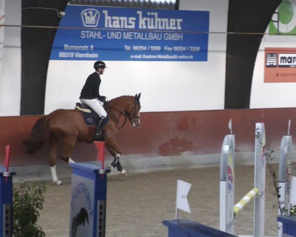 Reitturnier Viernheim 2025