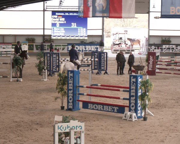 Reitturnier Borken (Hessen) 2025