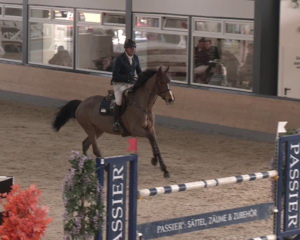 Reitturnier Borken (Hessen) 2025