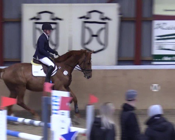 Reitturnier Behrendorf 2025