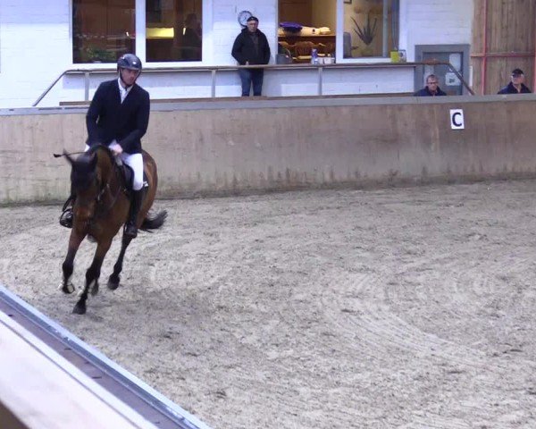 Reitturnier Behrendorf 2025