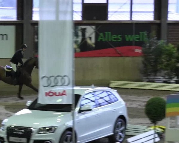 Köln-Leverkusen 2013