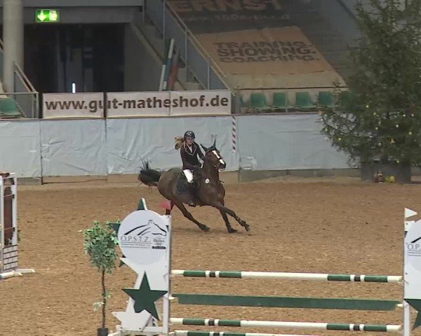 Reitturnier Kreuth 2025