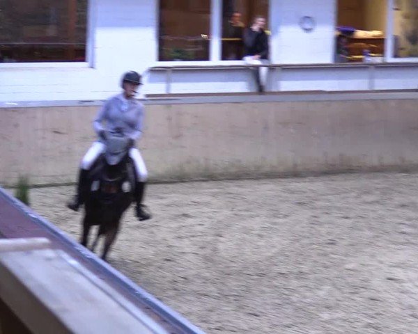 Reitturnier Behrendorf 2025