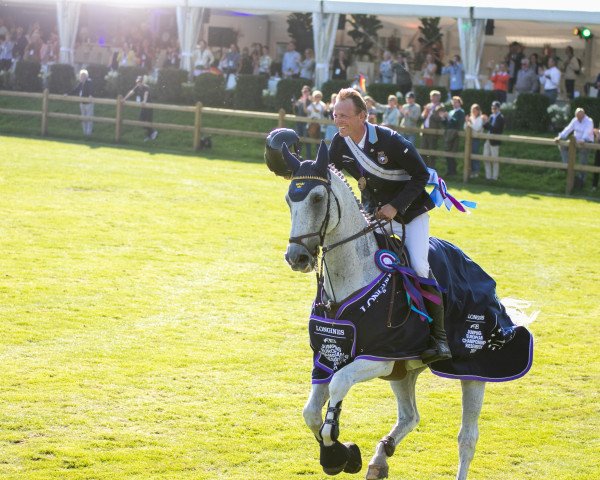 Springpferd Catch Me Not S (Schwedisches Warmblut, 2006, von VDL Cardento 933)