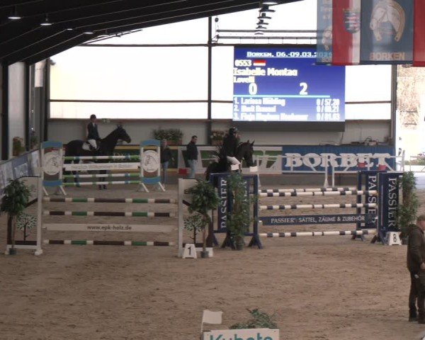 Reitturnier Borken (Hessen) 2025